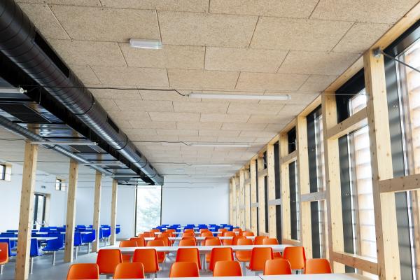 Example view of Heraklith wood wool panels in an educational institution
