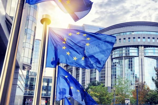 european union flags in the wind in front of a buidling