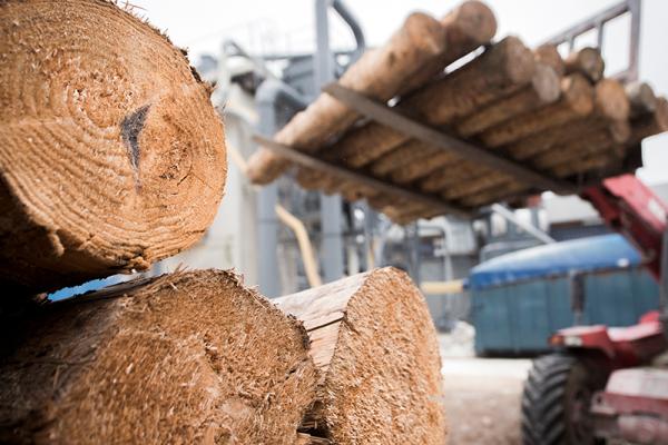 A stack of wood